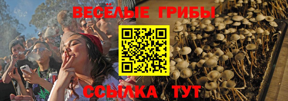 Псилоцибиновые грибы мицелий  Галлюциногенные грибы мухоморы  Рыбинск  Вход с VPN 